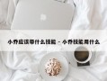 小乔应该带什么技能 - 小乔技能用什么