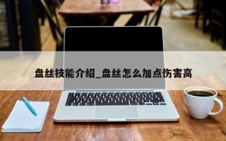 盘丝技能介绍_盘丝怎么加点伤害高