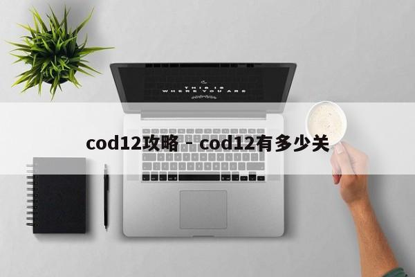 cod12攻略 - cod12有多少关-第2张图片-M8游戏网